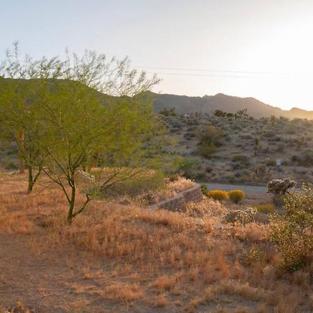 Experience Desert Serenity Gateway To Joshua Tree Dış mekan fotoğraf