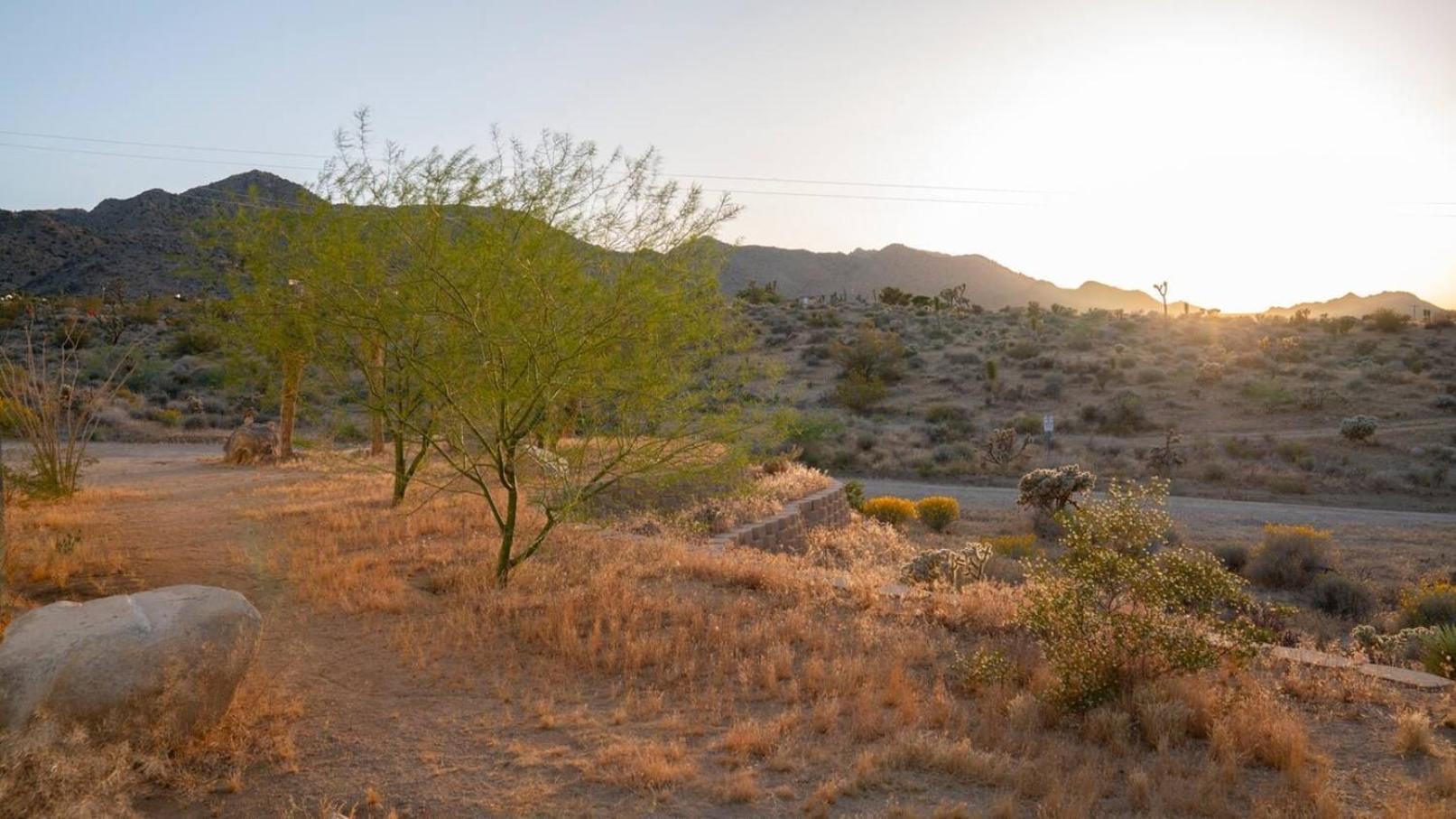 Experience Desert Serenity Gateway To Joshua Tree Dış mekan fotoğraf